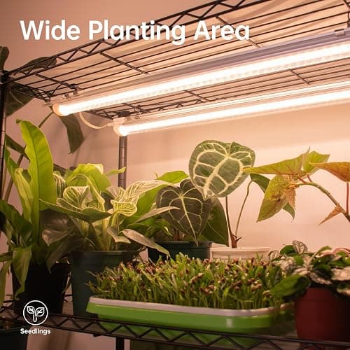 Bstrip Plant Shelf with Grow Lights, 4-Tier Large Grow Light Shelf with Wheels, 12-Pack 288W T8 Full Spectrum Grow Lights for Seed Starting,Seedling(57.4" L x 13.8" W x 59" H) thumbnail 4