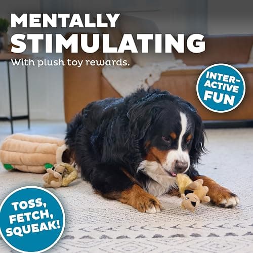 Outward Hound Hide A Squirrel Plush Dog Toy Puzzle, XL thumbnail 4