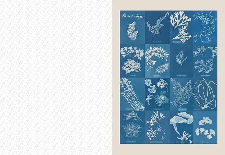 The Collage Compendium: 2,000 Images to Cut Out & Collage thumbnail 9