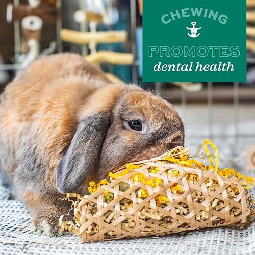 Oxbow Enriched Life Timothy Popsicle, Rabbit Toys, Guinea Pig Toys, Enrichment for Bunny, Guinea Pig, Hamster Stuff, Rabbit, Chinchilla, Made with Timothy Hay, Chinchilla Cage Accessories thumbnail 8