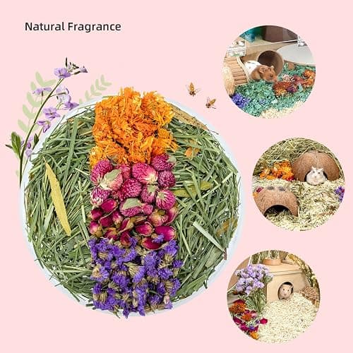 Niteangel Natural & Soft Hamster Bedding for Syrian Dwarf Hamsters Gerbils Mice Degus Bunny or Other Small-Sized Pet (Flowers Scent Path) thumbnail 4