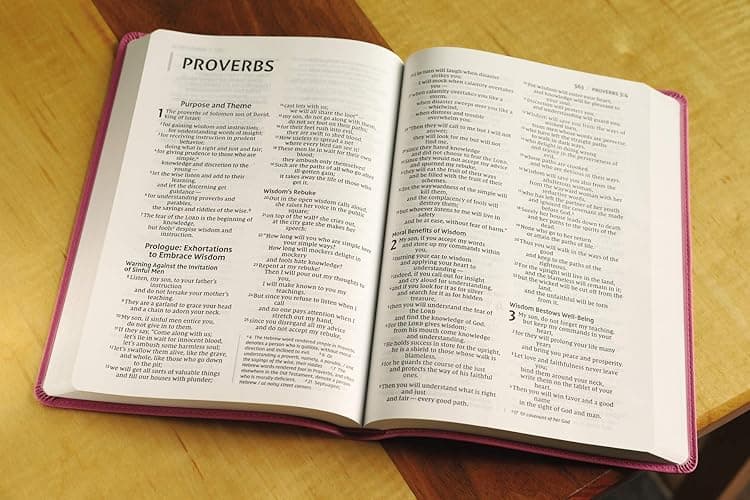 NIV, Value Thinline Bible, Large Print, Leathersoft, Pink, Comfort Print thumbnail 4