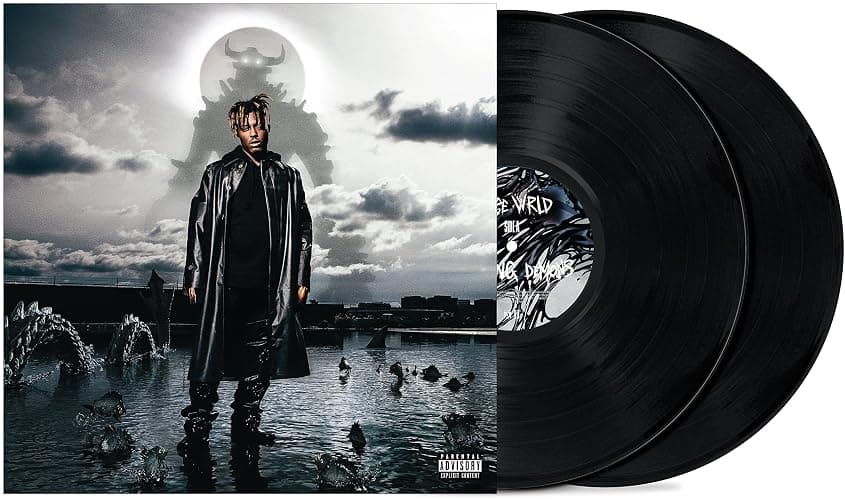 Fighting Demons[2 LP] - Image 1