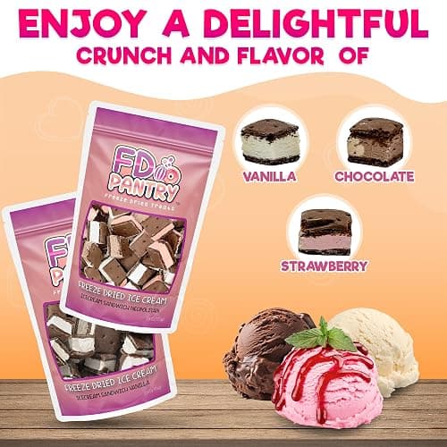 Freeze Dried Icecream Sandwich Bites, Neapolitan & Vanilla 2.5oz (2 pack) - Crunchy & Sweet Freeze Dried Dessert Snack, Dehydrated Freeze Dried Chocolate Flavors - Resealable Ice Cream Sandwich Bites thumbnail 3