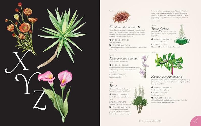 The Complete Language of Flowers: A Definitive and Illustrated History (Volume 3) (Complete Illustrated Encyclopedia, 3) thumbnail 15
