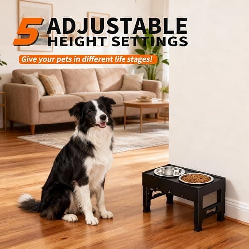 LAKIPETN Elevated Dog Bowls with 2 Stainless Steel Bowls, Raised Dog Food Bowl Stand 5 Height Adjustable (3.1", 9", 10", 11", 12") Non-Slip Feeder Station Set for Medium and Large Dogs - Black thumbnail 2