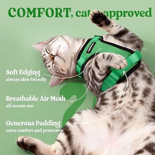 rabbitgoo Cat Harness and Leash for Walking, Escape Proof Soft Adjustable Vest Harnesses for Cats, Easy Control Breathable Reflective Strips Jacket, Grass Green,S thumbnail 4