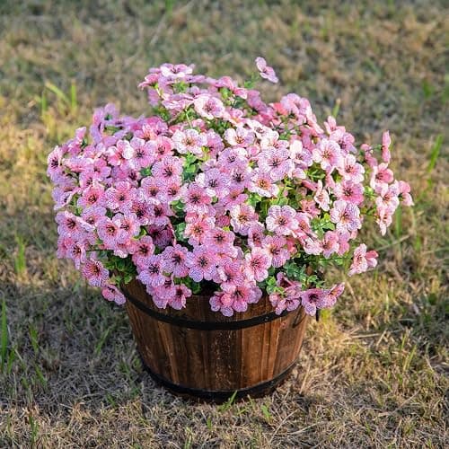 HyeFlora Artificial Flowers for Outdoor Indoor Garden Home Decoration, Faux Flower Daisy with Eucalyptus Leaves Fake Plants Greenery Boxwood Porch Patio, 12 Bundles (Pink) thumbnail 8