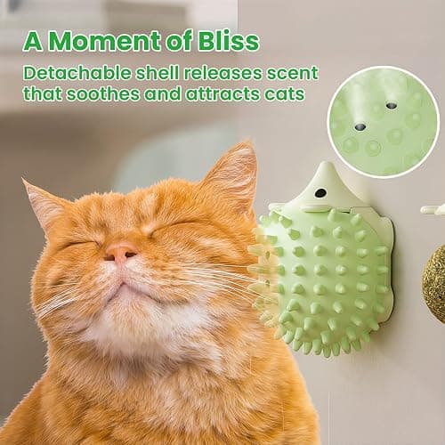 Petinstinct 6 Pcs Catnip Ball Toys with Rubbing Shell, Lickable Roller Catnip Toys for Cats Chew, Edible and Refillable Kitten Toys, Teeth Cleaning Dental Indoor Cat Treats Toys, 3 Shells 6 Balls thumbnail 5