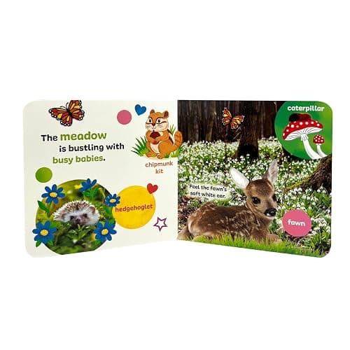 Touch & Feel: Forest Babies - Board Book for Toddlers With Peek-Through Holes thumbnail 8