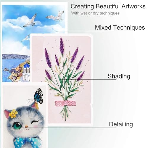 KALOUR 72 Watercolour Pencils for Adults - Water Soluble Professional Hexagonal Pencil - Ideal for Artists Coloring Blending and Layering thumbnail 5