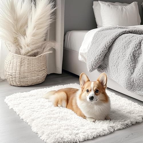 Tiny Comfy Carpet  - Image 1