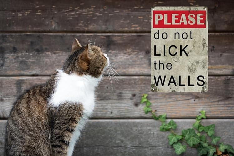 Funny Retro Metal Tin Sign Please Do Not Lick The Walls Bathroom Decor Poster Wall Art Vintage For Man Cave For Living Room Wall Home Decor 8x12 In thumbnail 5