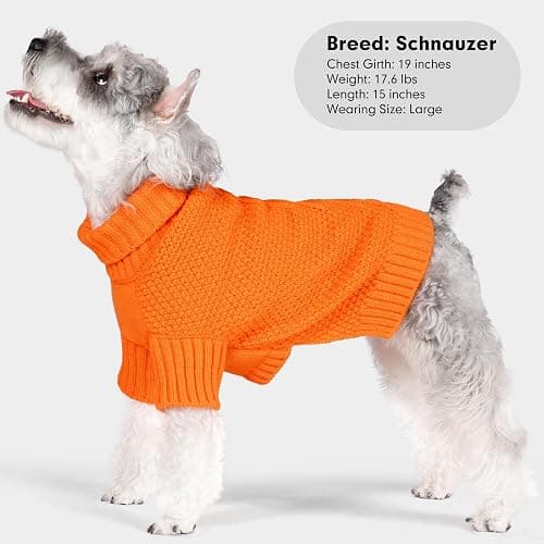 cyeollo Dog Sweater Pullover Turtleneck for Dogs, Classic Knitwear Fall Winter Cold Weather Dog Clothes Warm Pet Apparel Small Medium Large Doggie Sweaters, Orange M thumbnail 6