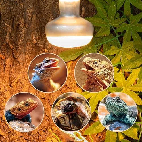 REPTI ZOO 2 Pack Heat Lamp 75W, Intense Basking Spot Simulated Natural Sunlight Heating Lamp Bulb, Heat Emitter UVA Heat Lamp Bulb for Reptile Chickens Pet Brooder thumbnail 5