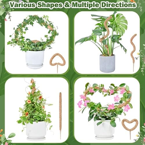Bendable Moss Pole for Plants, SproutMaven 2 x 23.6/60cm Inch Monstera Moss Pole kit for Climbing Plants Handmade Slim Plant Stakes for Indoor Plants thumbnail 4