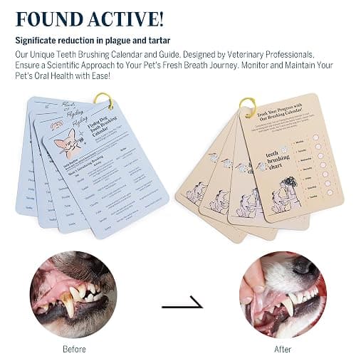 FlyDog Fresh Kiss Dog Tooth Brushing Kit - Vet Approved Formula, Enzymatic Dog Toothpaste and Brush - Breath Freshener & Tartar Remover, 360° Toothbrush & Finger Brush, Dental Guide, Chicken Flavor thumbnail 5