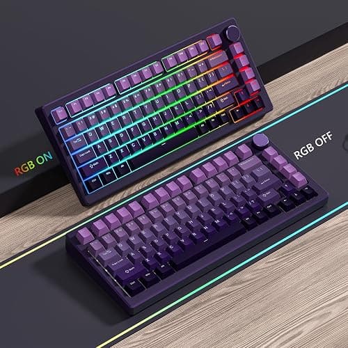 Womier Shine Through PBT Keycaps 60 75 100 Percent Cherry Profile, Custom Key Cap Doubleshot Keycaps Set, Universal Compatiability for Cherry Gateron MX Switches Keyboard, Gradient Purple thumbnail 5