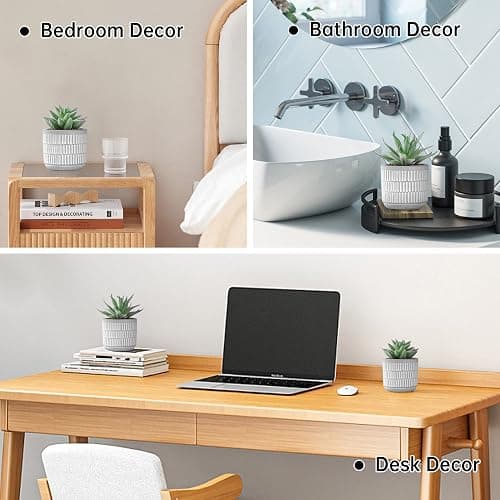 Der Rose Set of 2 Succulents Plants Artificial Fake Cactus Plants for Living Room Bathroom Bedroom Aesthetic Home Shelf Decor thumbnail 6