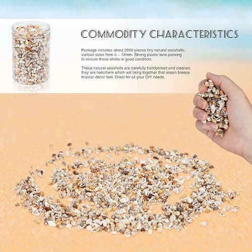 WEOXPR 2000 Pcs Tiny Sea Shells for Craft, Mixed Ocean Beach Mini Seashells | 2000 tiny sea shells, mini seashells bulk, mixed ocean shells, crafting, DIY, fish tank, vase decor thumbnail 7