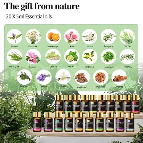 MAYJAM Top 20 Essential Oil Set with Nice Gift Box, 5ML Pure Essential Oils for Diffusers Aromatherapy Soap Candle Making, Beautifully Thoughtful Essential Oils Gift Set for Her thumbnail 2