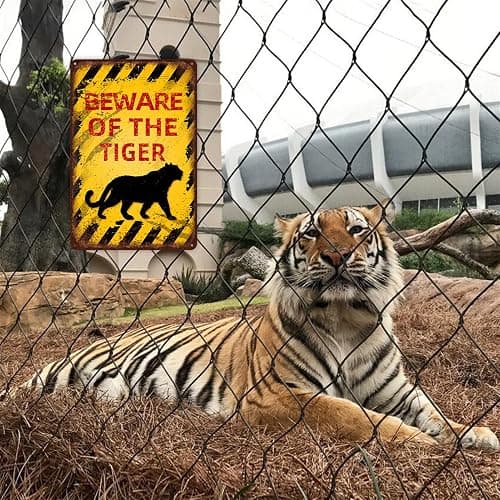 Vintage Parrot Metal Sign Beware of Parrot Aluminum Sign Funny Beware Animal Decor 12"x8" Inch thumbnail 2