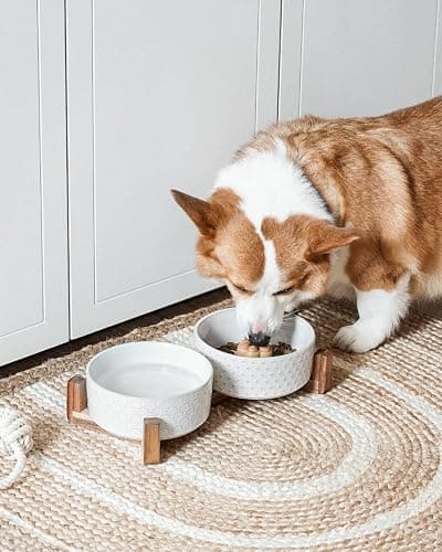 Dog Bowls Ceramic for Small Medium Dogs - 3-Cup Dual Food & Water Bowl Set with Acacia Wood Stand, Non-Slip Anti-Tip Elevated Design thumbnail 2