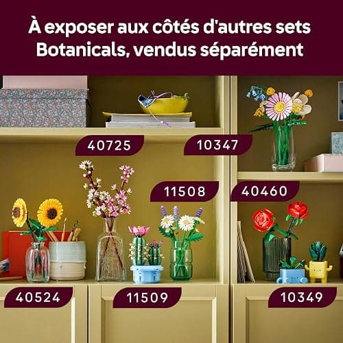LEGO Botanicals Cactus Fleuri - Set de Plante Artificielle en Pot - 2 Cactus & Fausses Fleurs - Décoration Chambre DIY - Cadeau d'anniversaire pour Fille 9 Ans ou Adulte Passionné.e de Plantes 11509 thumbnail 9