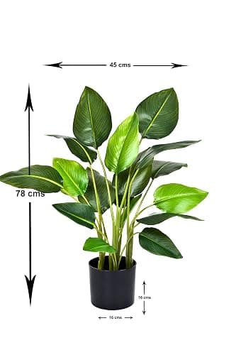 GreenBrokers Artificial Real Touch Bird of Paradise (Strelitzia) Plant in Black Pot Ideal for Home, Office, Indoor Outdoor Living 78cm/30in thumbnail 2