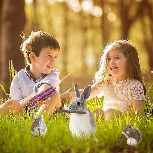 Petawi 45PCS Rabbit Guinea Pig Hamster Toys, Chinchilla Bunny Chew Toys for Teeth Apple Wood Timothy Hay Bamboo Sticks, Carrot Treats Balls for Rabbit Bunny Chinchilla Guinea Pig Hamster Rat thumbnail 7