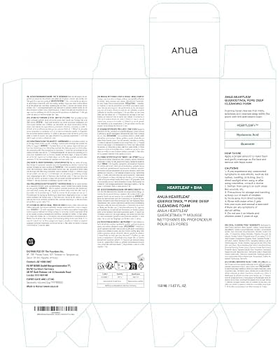 Anua Heartleaf Quercetinol Pore Deep Cleansing Foam, Facial Cleanser, for Double Cleansing, BHA, Hyaluronic Acid, Glycerin, Face Wash, Blackhead Remover, Korean Skincare, 5.07 fl.oz thumbnail 8
