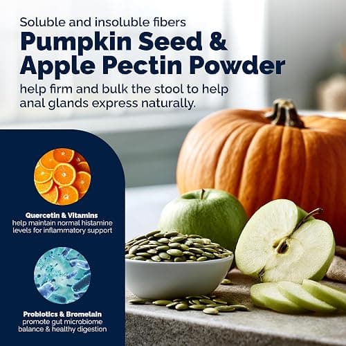 Vetnique Glandex for Dogs Anal Gland Chews 60ct Pumpkin + Digestive Enzymes | Anal Gland Dog Treats, Boot the Scoot + Fishy Odor Support, Fiber, Probiotics, Quercetin + Apple Pectin, Peanut Butter thumbnail 4