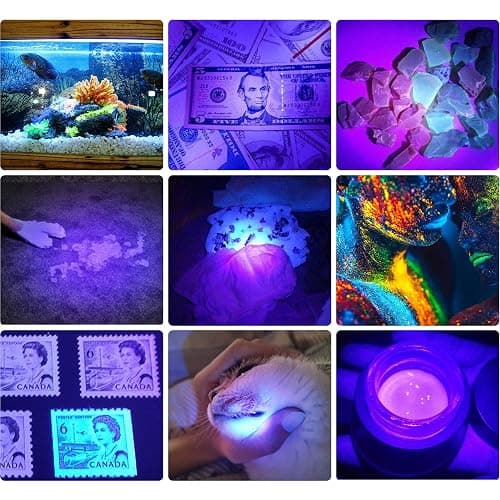 DARKBEAM UV 395nm Flashlight Ultraviolet led Light Blacklight Wood's lamp Portable 400nm Mini Detector for Dog/Cat Urine Pet Stains, Anti-counterfeiting Identification, Resin Curing, AA thumbnail 4