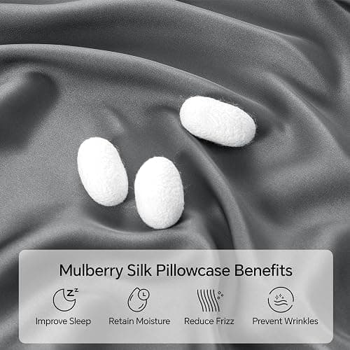 INFIIXSO Mulberry Silk Pillow Cases Queen Size - Hidden Zipper, Dark Grey | Ultra Smooth & Soft Silk Pillowcase for Hair & Skin, Cooling Pillow Cover for Hot Sleepers, Gift for Women, 1Piece 20"x30" thumbnail 3