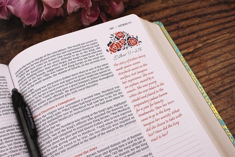 NIV, Journal the Word Bible for Women (Perfect for Note-Taking), Leathersoft, Teal, Red Letter, Comfort Print: 500+ Prompts to Encourage Journaling and Reflection thumbnail 8