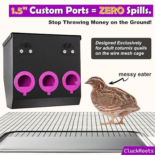 CluckRoots No Waste Quail Feeder, 3 x 1.5'' Ports for Adult Coturnix Quail | Outside-Hanging Metal Feeder for Wire Cages Hutch Pen to Save Space, No Spill No Mess for Japanese Jumbo Pharaoh Quail thumbnail 3
