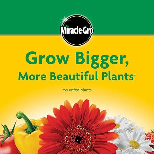 Miracle-Gro Water Soluble All Purpose Plant Food, For All Indoor or Outdoor Plants, Roses, Flowers, Vegetables, Houseplants, Trees, and Shrubs, 1.5 lbs thumbnail 7