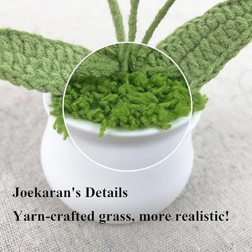 Joekaran Crochet Flowers Cute Flower for Her, Graduation Birthday Gifts for Women and Teacher, Mother, Coworkers, Valentines, Christmas, Desk Decor,Home Office Decoration(Pink Gradient Myosotis) thumbnail 4