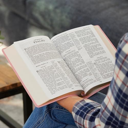 Pink Bible thumbnail 4