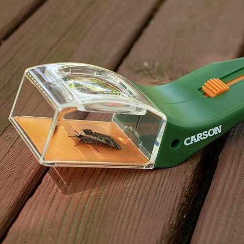 Carson BugView 5X Magnifying Glass Quick-Release Bug Catcher Indoor and Outdoor Tool for Kids or Adults (HU-10) thumbnail 2