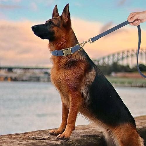 Didog Soft PU Leather Dog Collar, Stylish Quick Released Dog Collar for Large Dogs, Easy Clean Adjustable Pet Collar for Daily Walking, Blue, L Fit 15-23" Neck thumbnail 3