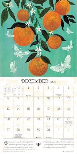 Praise for the Pollinators 2026 Wall Calendar  thumbnail 5
