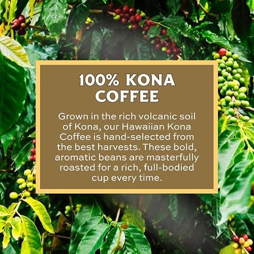 Lion Coffee 24K Gold Roast 100% Kona Ground Coffee, Medium-Light Roast, A Taste of Aloha - 7 Ounce Bag thumbnail 6