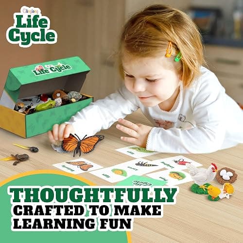 Life Cycle Animal Kit - Montessori Science Toy with 24-Piece Matching Game, Butterfly, Frog, Chicken, Bee, Ladybug and Turtle STEM Educational Gift, Easter Basket fillers for Kids Ages 3-8 thumbnail 4