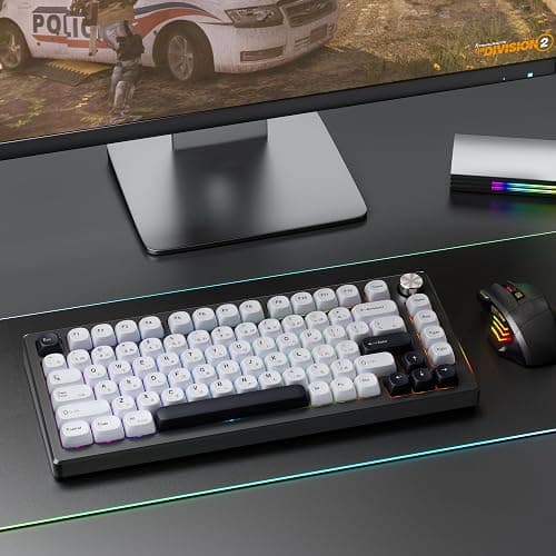 HITIME XVX PBT Keycaps - Japanese White MOA Dye-Sublimation Set for 61/64/68/84/87/100/104/108 Cherry MX Mechanical Keyboard - Bow thumbnail 6