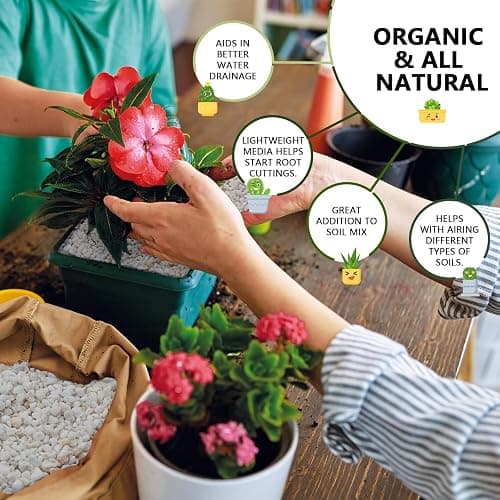 10QT Horticultural Perlite Bulk, Organic Perlite for Plants, Course Perlite for Gardening, for Plants Indoor, for Houseplants, to Promotes Soil Root Growth, and Water Drainage and Plant Growth(3-6mm) thumbnail 2