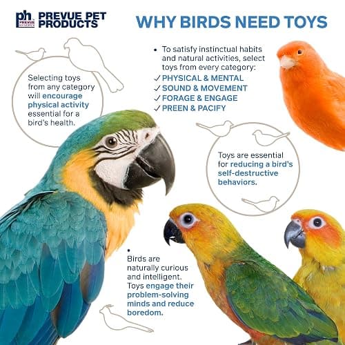 Prevue Hendryx 62803 Naturals Coco Rope Mini Bird Toy, 8 x 2.5 thumbnail 6
