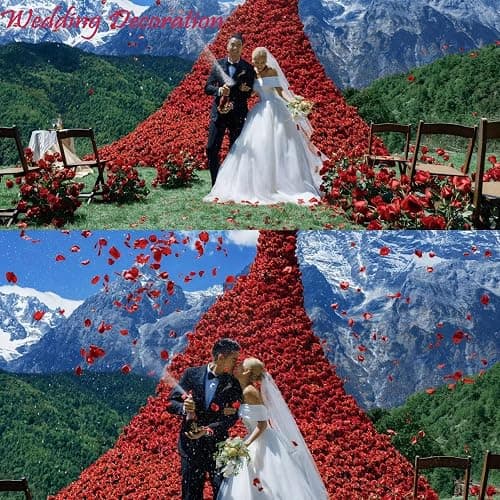 CODE FLORIST 2200 PCS Dark-Red Silk Rose Petals for Romantic Night,Wedding,Proposal Anniversary Flower Decorations thumbnail 3