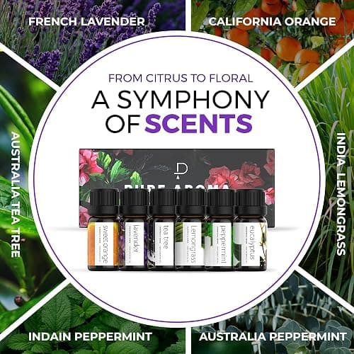 Essential Oils Set by Pure Aroma - Top 6 Aromatherapy Oils Gift Set-6 Pack, 10ml (Eucalyptus, Lavender, Lemongrass, Sweet Orange, Peppermint, Tea Tree) thumbnail 4