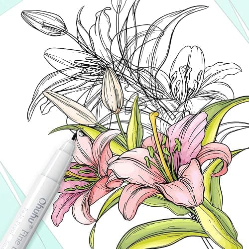 Ohuhu Fineliner Pens Micro Drawing Pens: 8-size Tips (Ultra-fine, Fine & Brush) Waterproof Pigment Black Ink for Illustration Drawing Journaling Sketching for Artist Beginners thumbnail 7